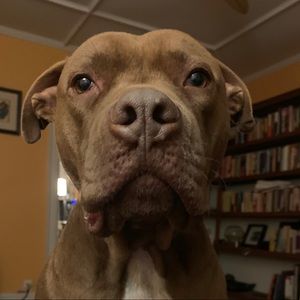 Meet your Posher, Jenny